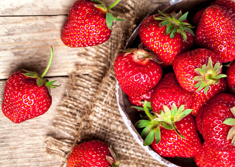 5 to 1000 SEQUOIA Strawberry Plants  CERTIFIED  Great in California & the South