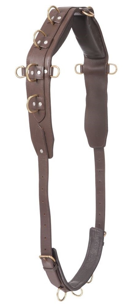 Professional Heavy Leather Horse Training Surcingle
