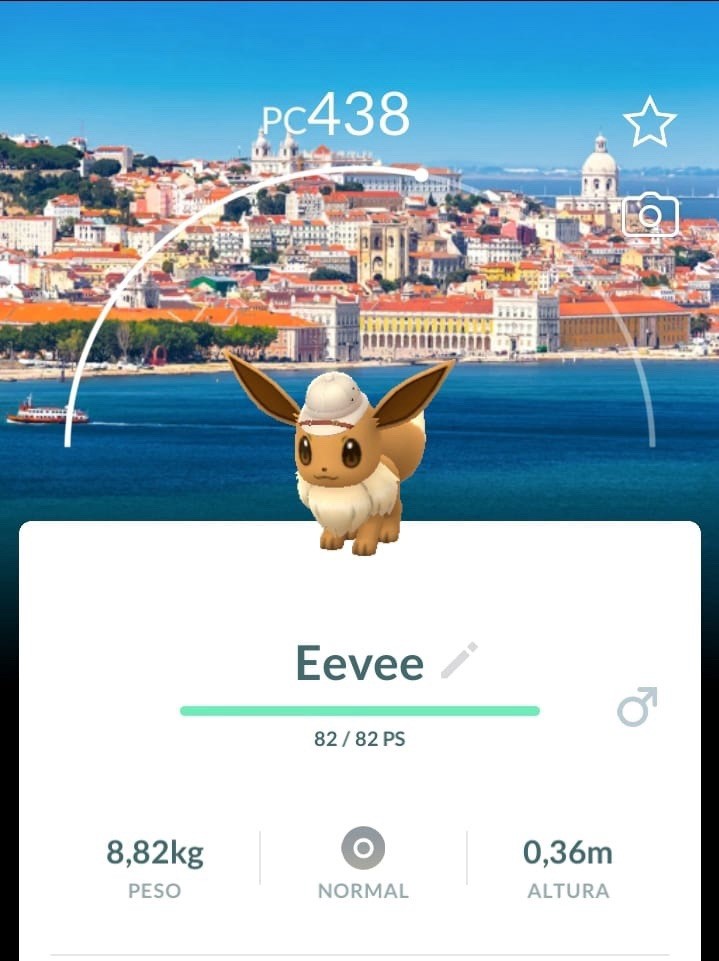 NOT SHINY EEVEE - BG SAFARI LISBOA