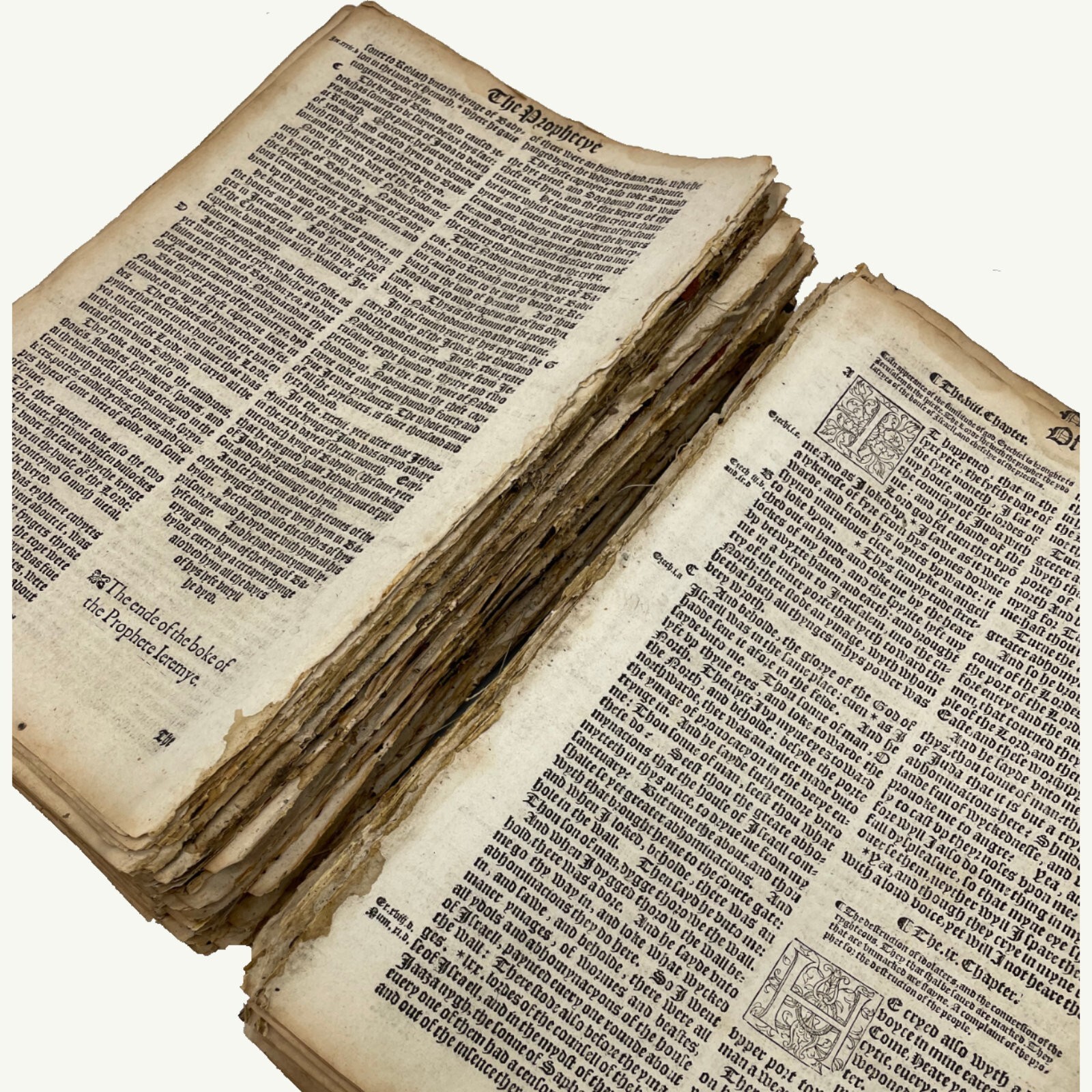 1566 Great Bible Page - Henry VIII Protestant Reformation - Select Your Passage