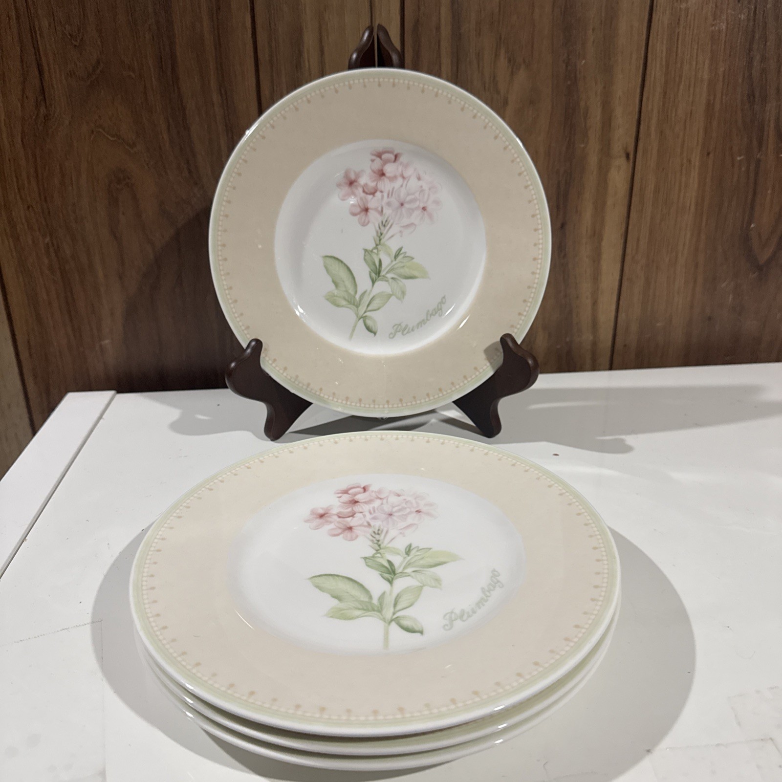 Villeroy & Boch Set (4) Florea Floris Salad Plates House Garden 8.5” RETIRED Villeroy & Boch Set (4) Florea Floris Salad Plates House Garden 8.5” RETIRED