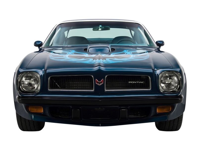 1974 Pontiac Firebird Trans Am Front End Pic NEW METAL SIGN: 12x16 