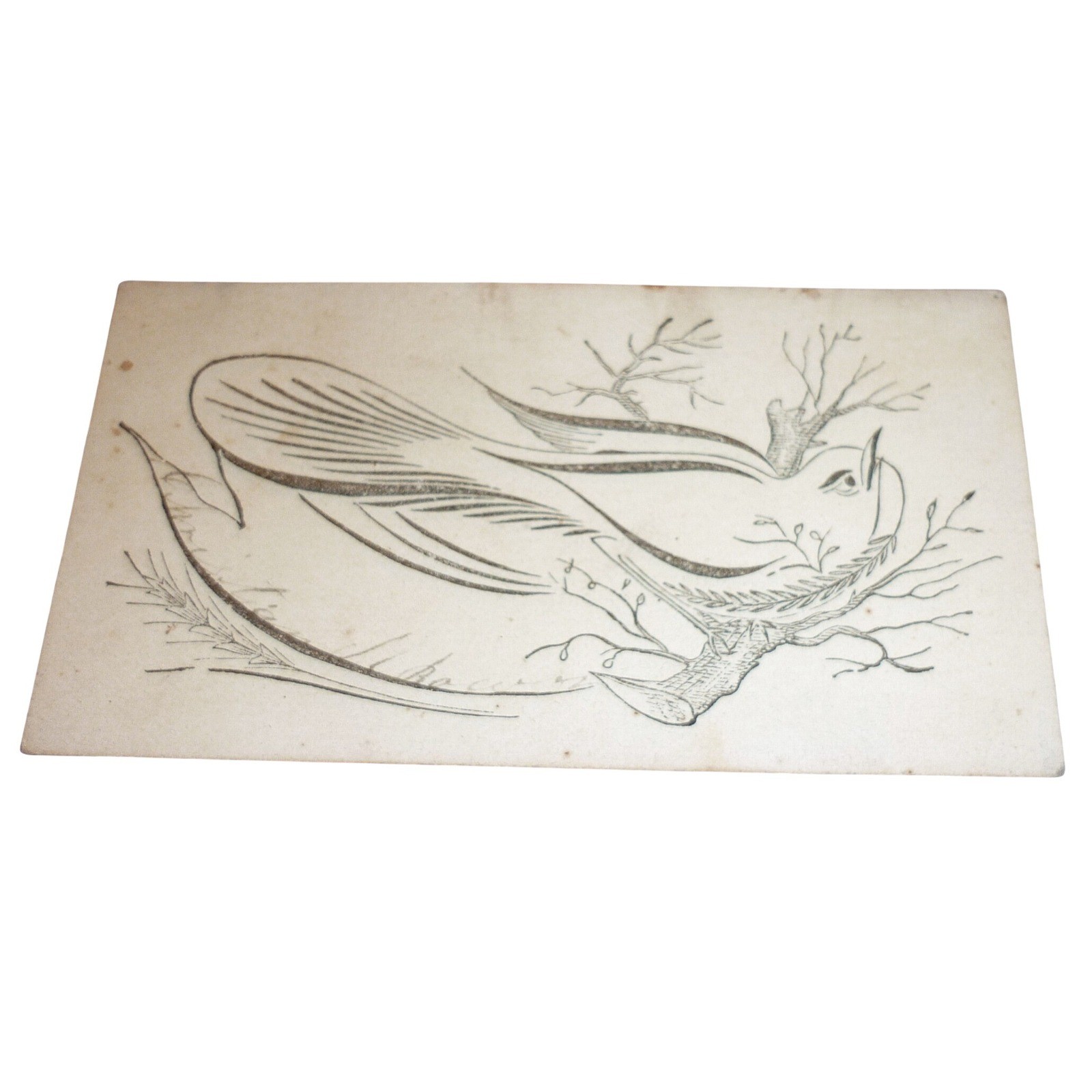 Antique Spencerian Calligraphy Bird Trade Card Victorian Penmanship Ephemera