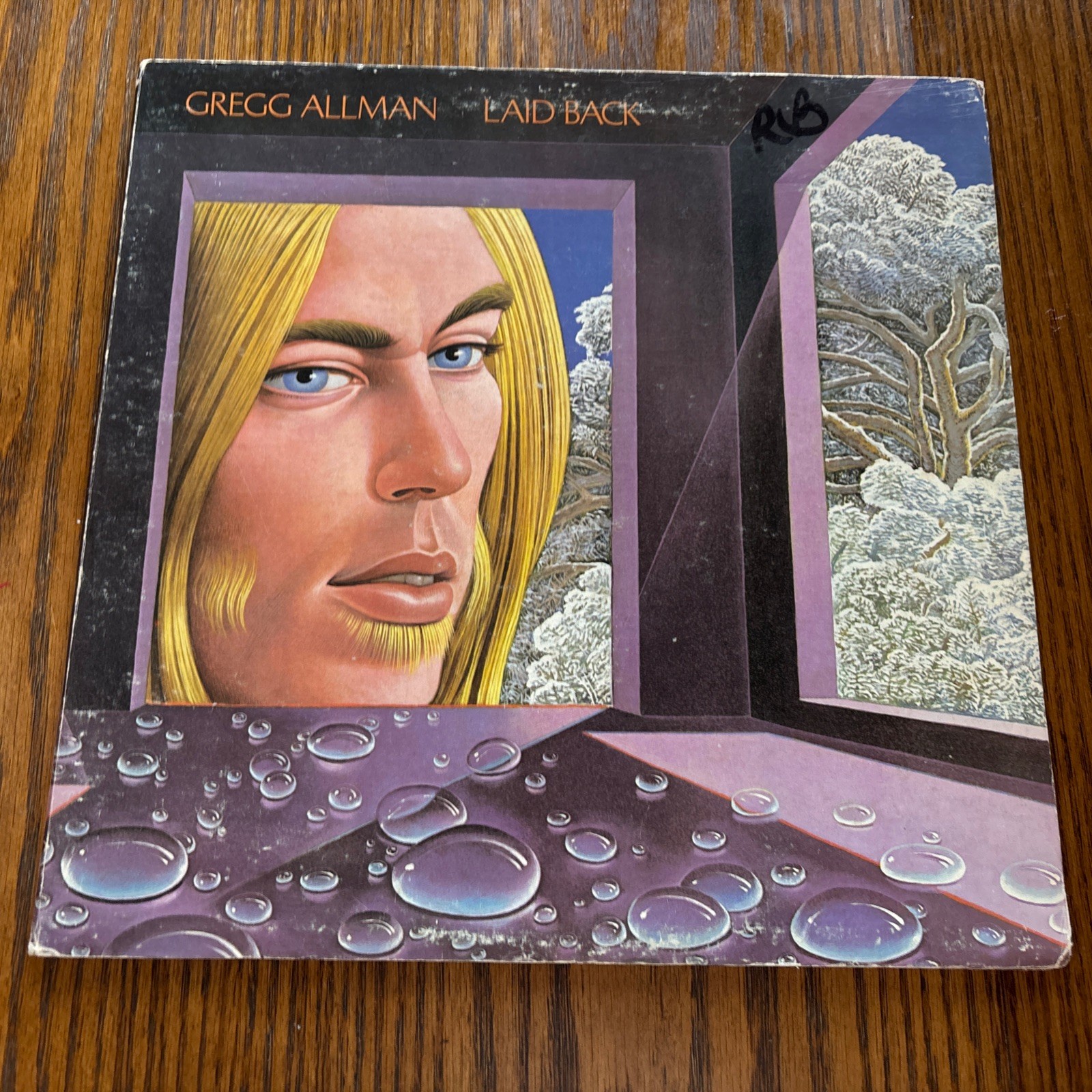 Gregg Allman – Laid Back – 1973 Capricorn – CP 0116 – Vinyl Record LP EX Gregg Allman – Laid Back – 1973 Capricorn – CP 0116 – Vinyl Record LP EX