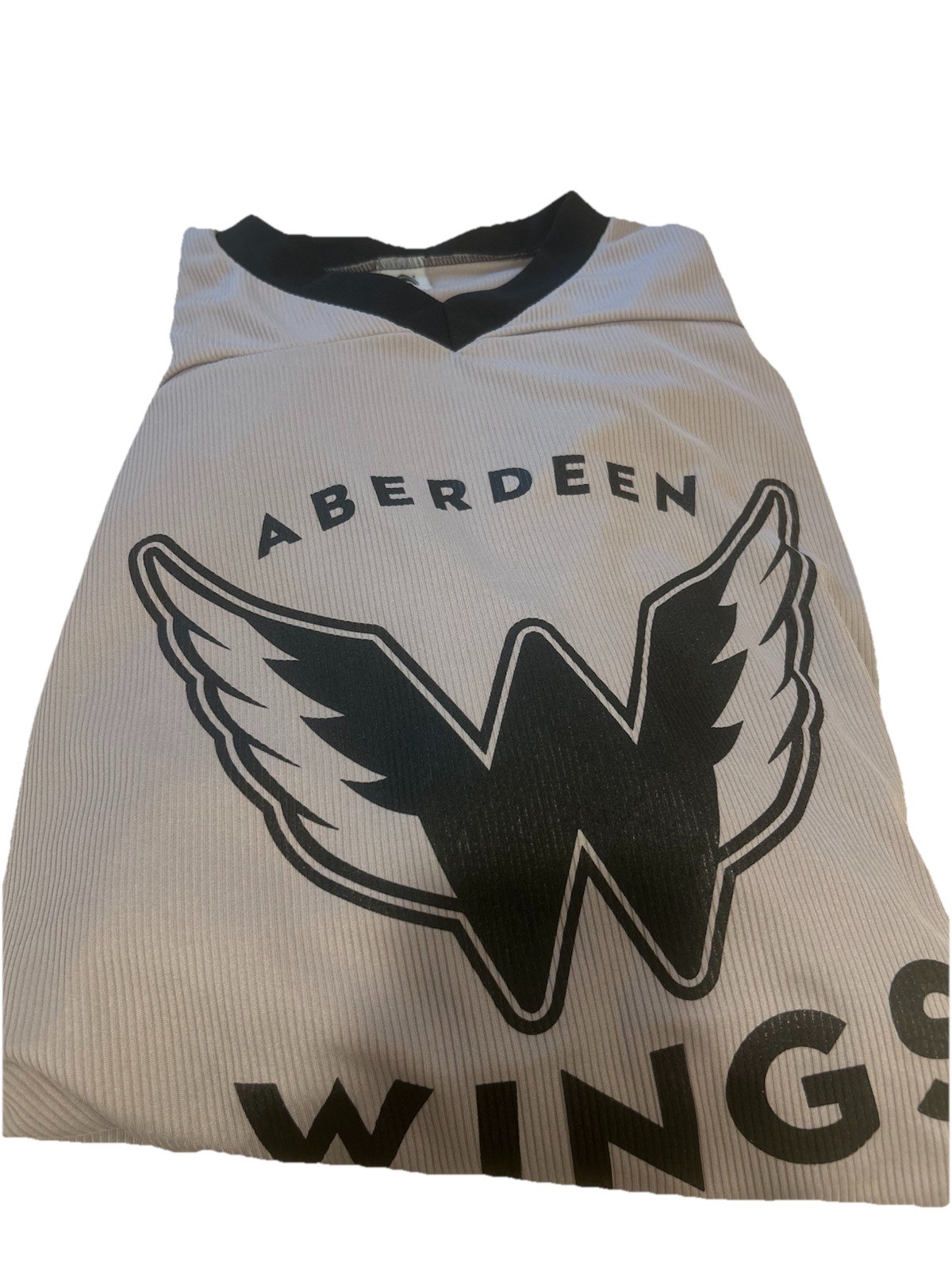 VTG Aberdeen Wings NAHL Hockey Jersey OT Sports USA Polyester Size 56 VTG Aberdeen Wings NAHL Hockey Jersey OT Sports USA Polyester Size 56