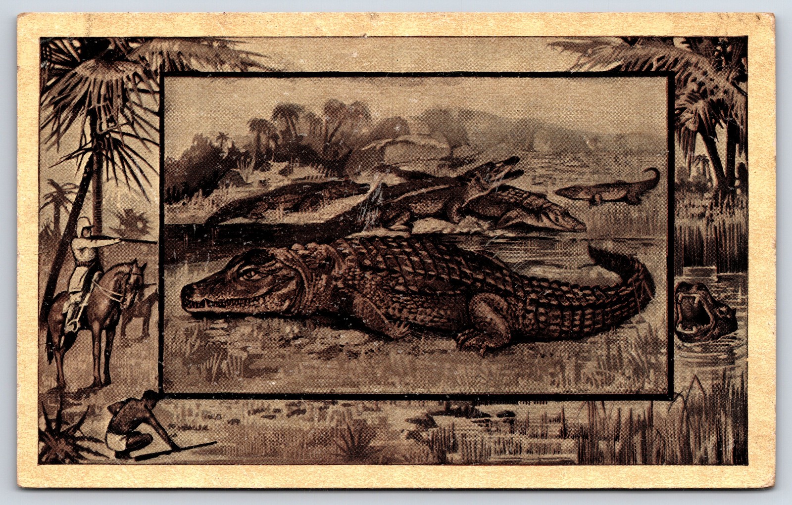 Antique 1909 Crocodile Alligator Africa Nile Illustrated Postcard M J Mintz Antique 1909 Crocodile Alligator Africa Nile Illustrated Postcard M J Mintz