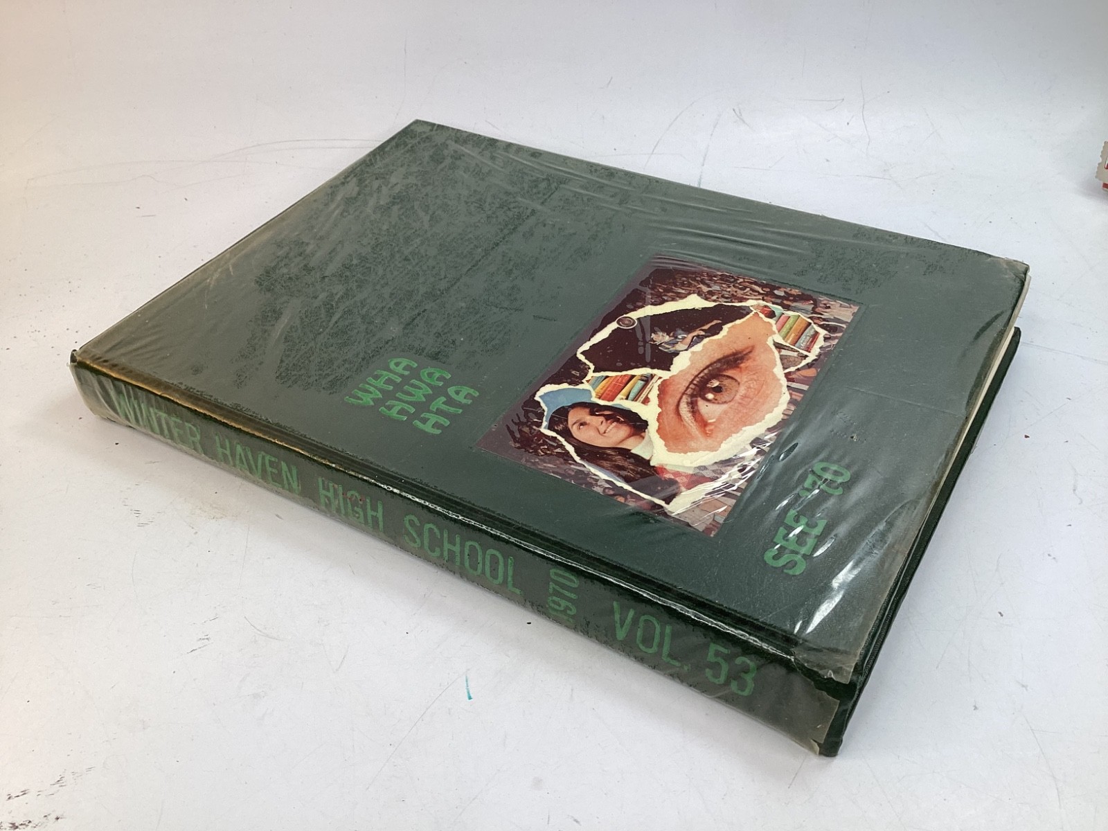 197vintage retro hippie HIGH SCHOOL YEARBOOK WINTER HAVEN, FLORIDA (L14) 197vintage retro hippie HIGH SCHOOL YEARBOOK WINTER HAVEN, FLORIDA (L14)