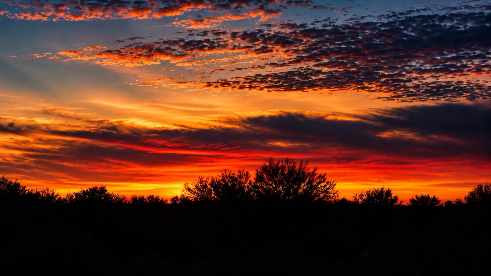 Color Landscape Photograph Sunset Sky Clouds Trees Nature Landscape Art