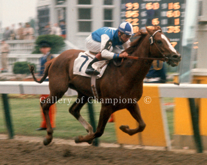 Venetian Way 1960 Kentucky Derby Photo 8\