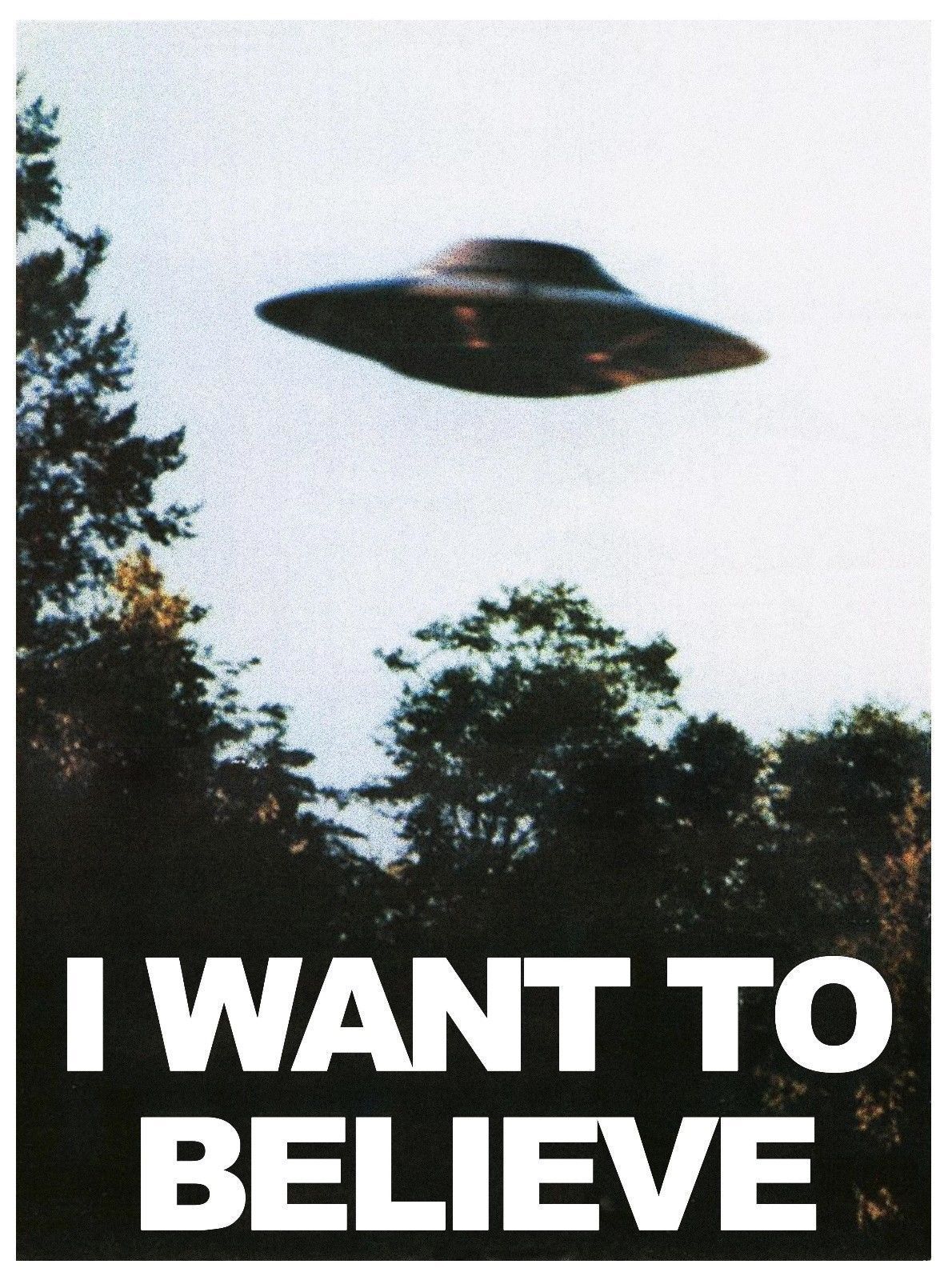 X Files X Files
