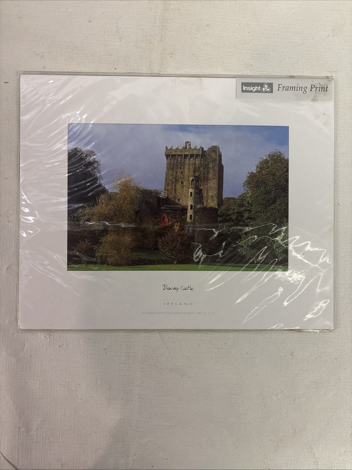 The Blarney Castle Ireland Photograph Print Peter Zoller Matted Insight 8x10 New