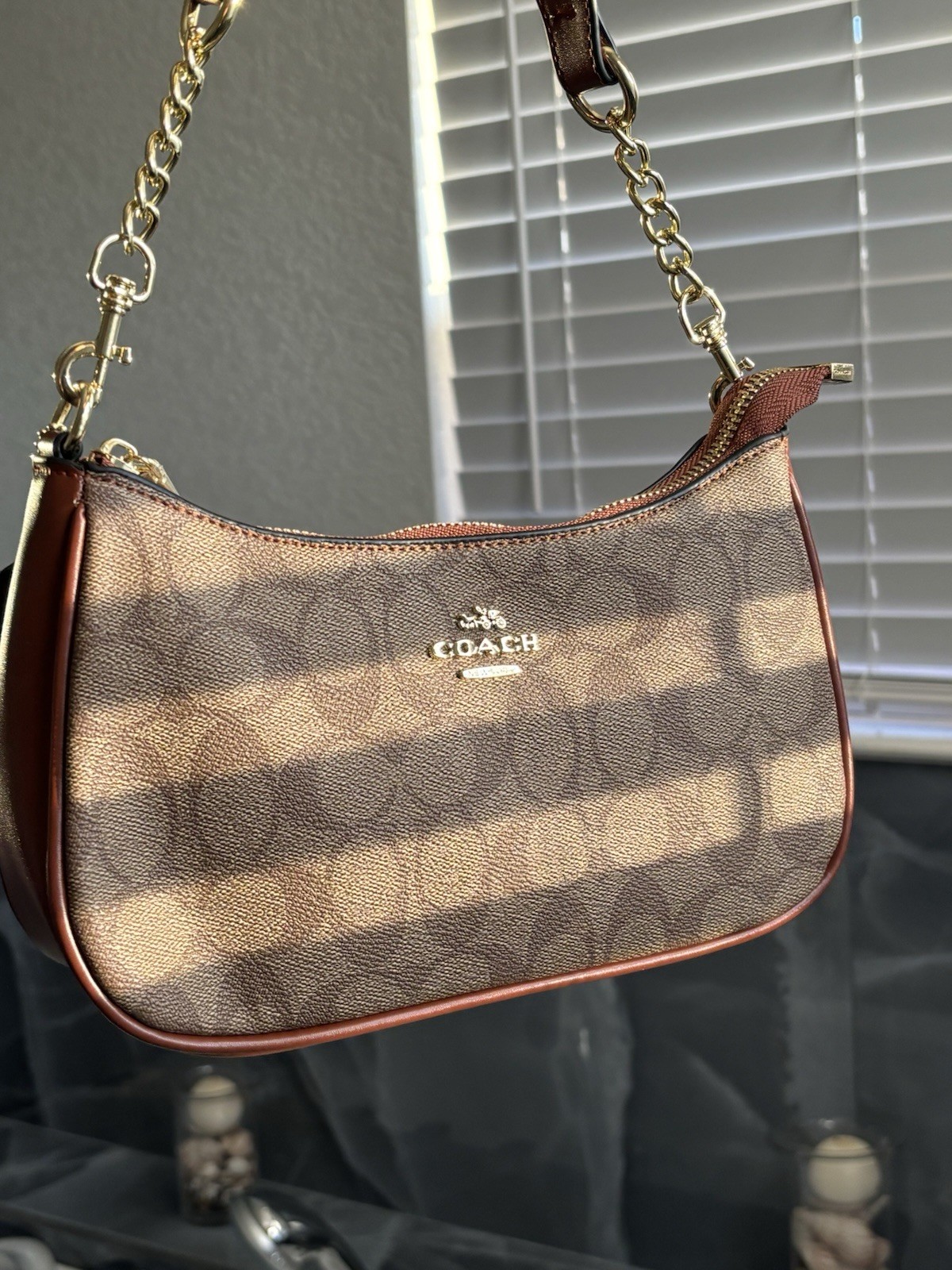 Brown Coach Terri Bag
