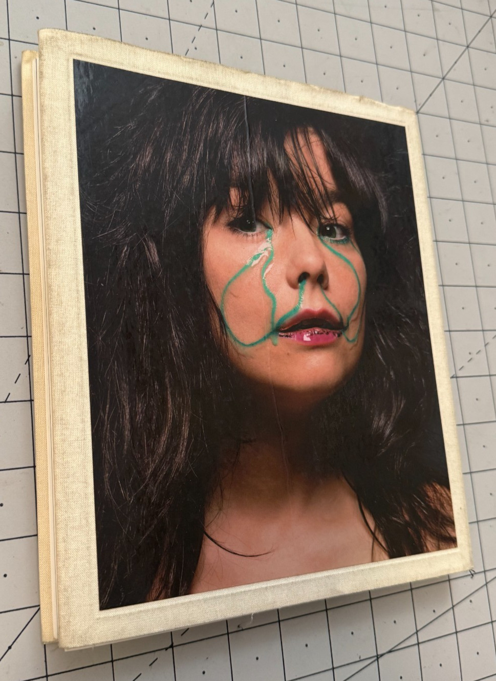 Björk A Project by Bjork 2001 First US Edition/First US Printing Björk A Project by Bjork 2001 First US Edition/First US Printing