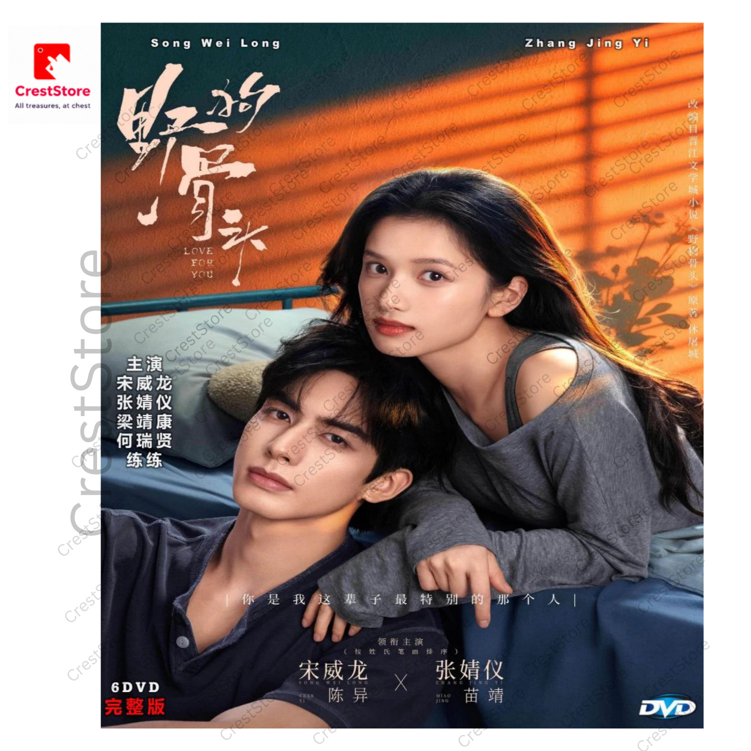 Love for You (2026) DVD Chinese Drama TV Series English Subtitles Brand New