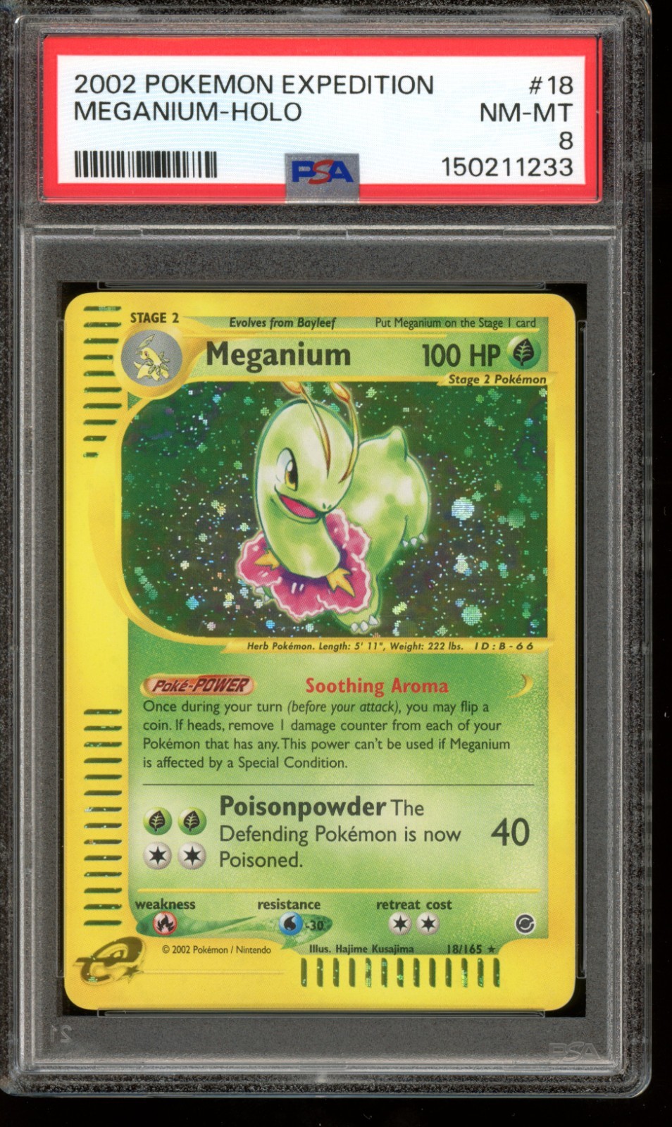 2002 POKEMON EXPEDITION #18 MEGANIUM-HOLO PSA 8