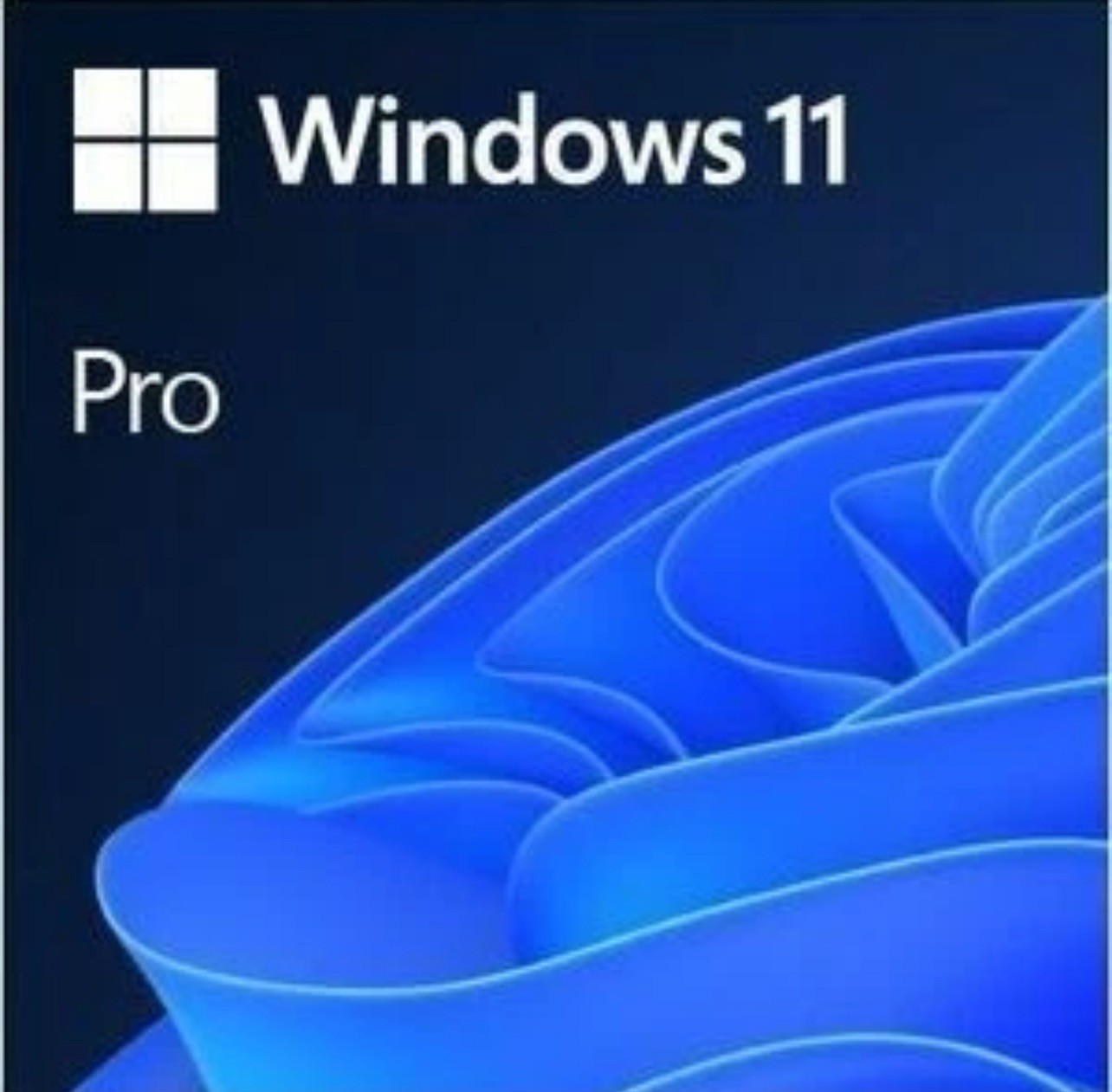 Windows 11 Pro 64-Bit USB Flash Drive OEM Version