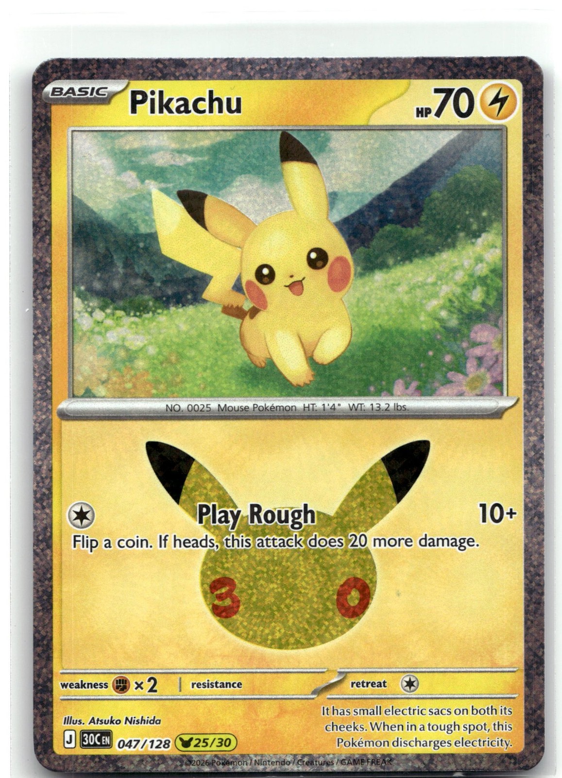 Pikachu Holofoil [30C - 047/128]
