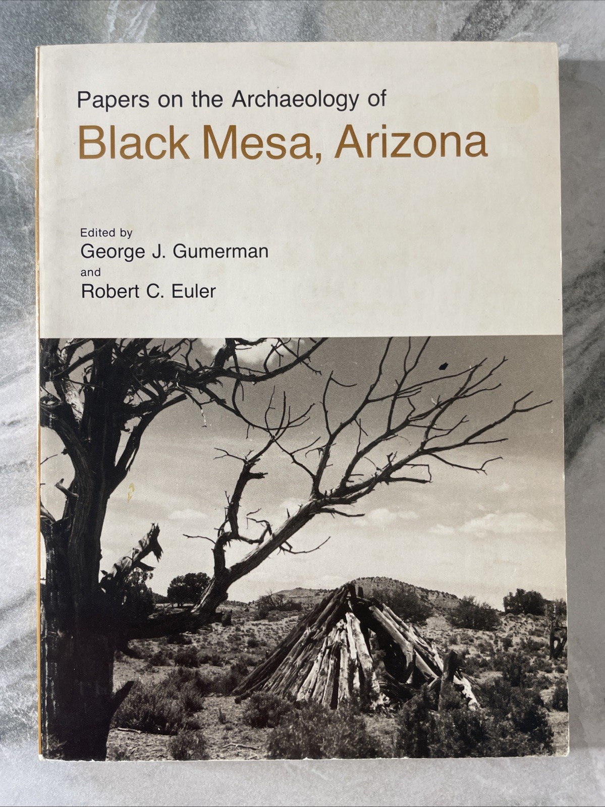 PAPERS ON THE ARCHEOLOGY OF BLACK MESA, ARIZONA 1976 SC VTG PAPERS ON THE ARCHEOLOGY OF BLACK MESA, ARIZONA 1976 SC VTG