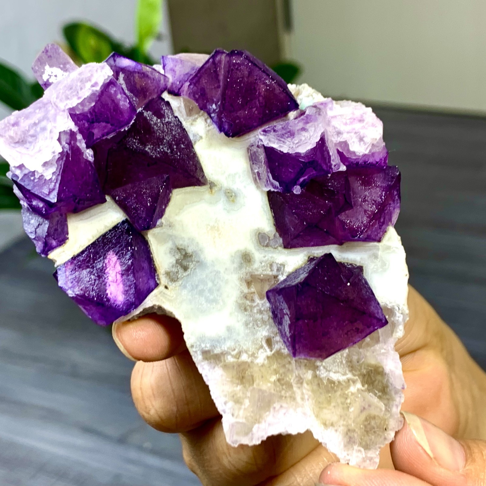 147G Natural Purple Octahedral Fluorite cluster Crystal Mineral Specimen