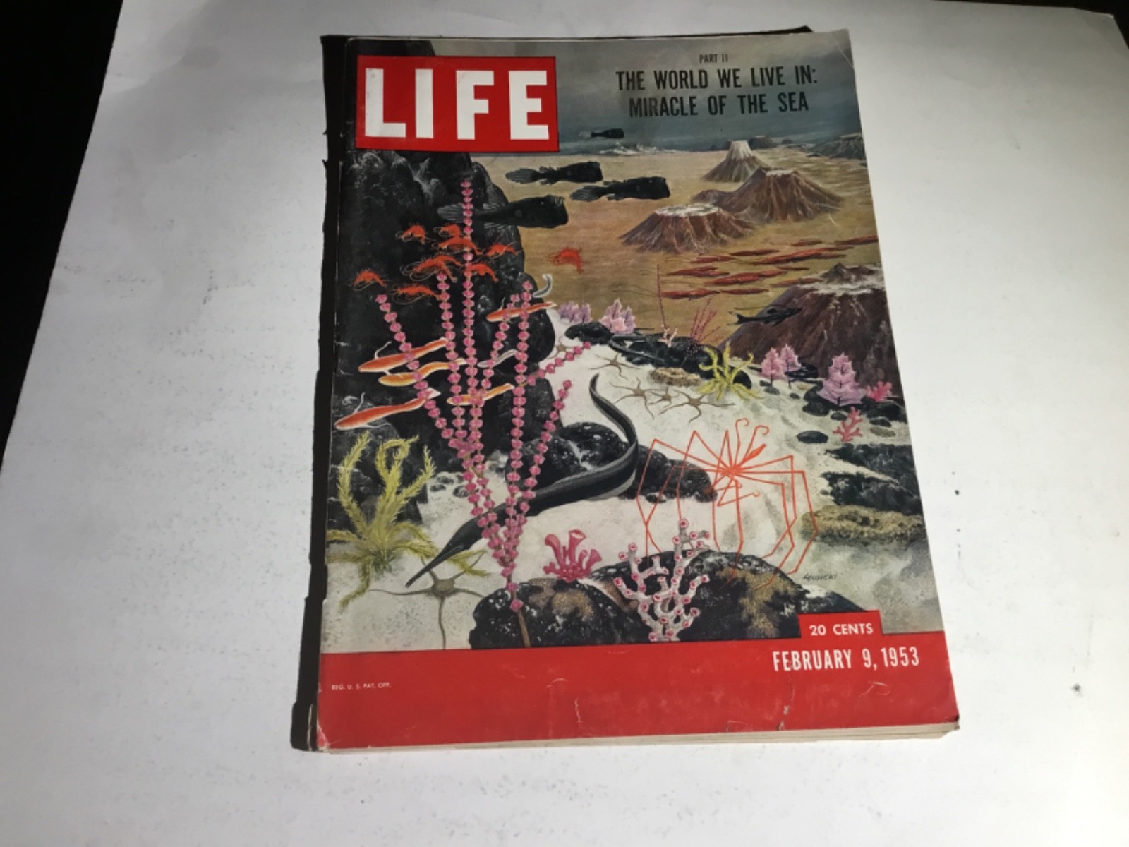 LIFE MAGAZINE.  February 9, 1953.  The World We Live In:  Miracle Of The Sea