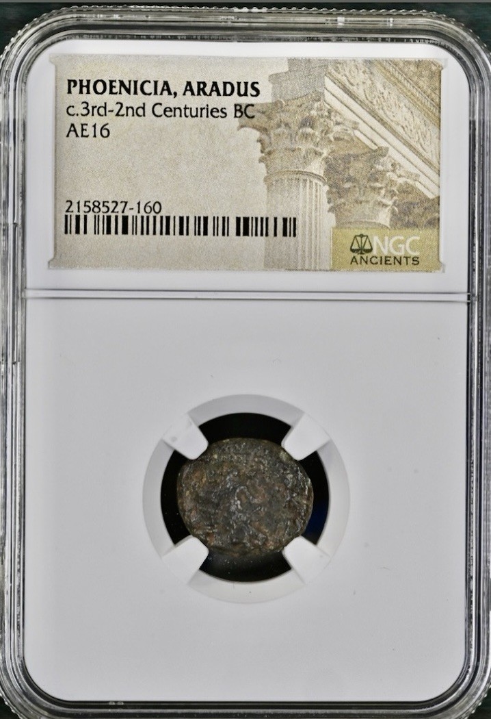 174BC-141 BC Phoenician Coin NGC Genuine Certified Zeus Galley Phoenicia Rare