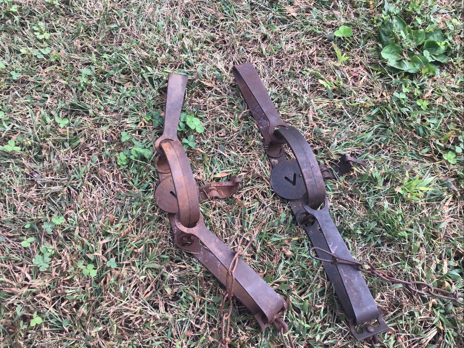 Vintage Victor No.2 And 1 1/2 Double Long Spring (2) traps Vintage Victor No.2 And 1 1/2 Double Long Spring (2) traps