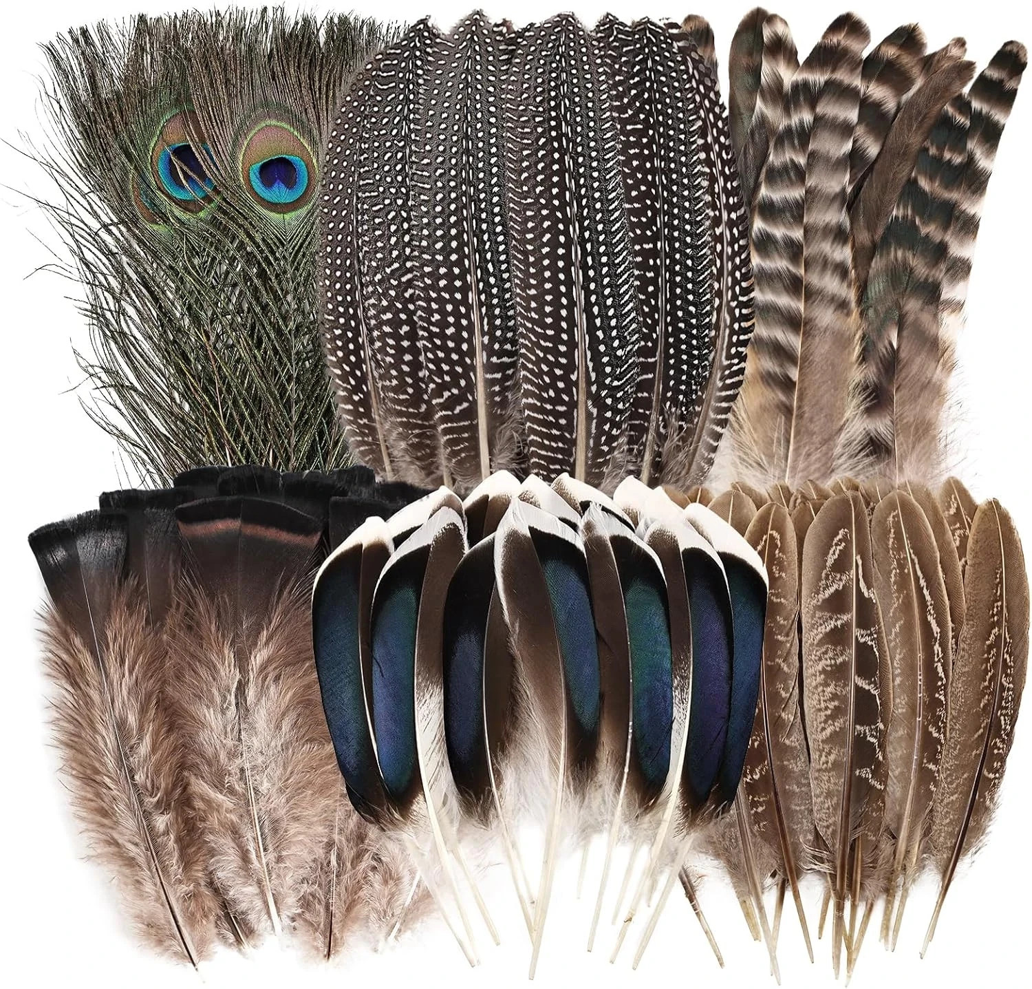 Natural Feathers Bulk - 55PCS - 6 Styles Assorted Natural Feathers, Peacock