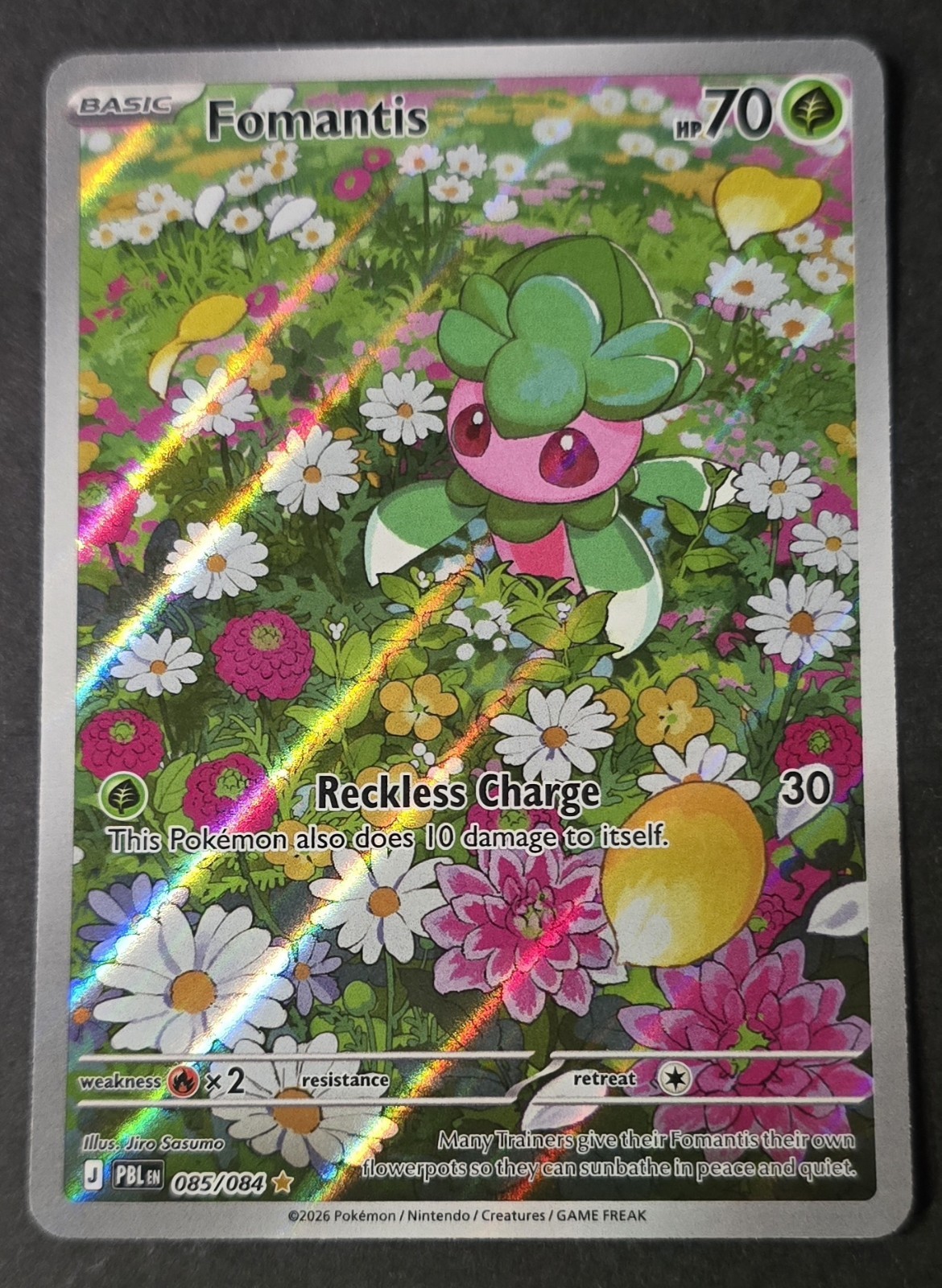 Fomantis 085/084 Illustration Rare Holo NM Pokemon Me05: Pitch Black