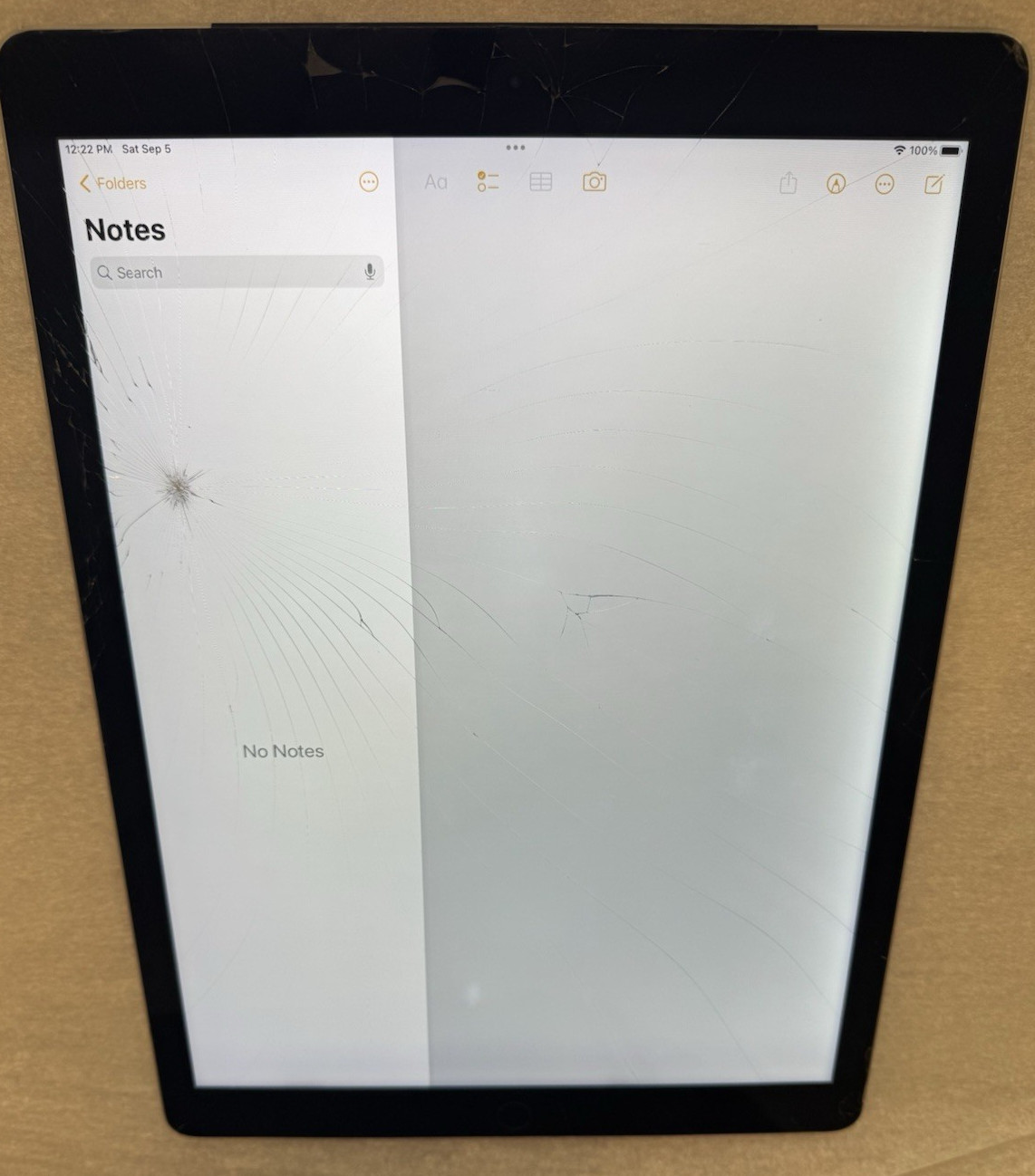 Apple iPad Pro 12.9\