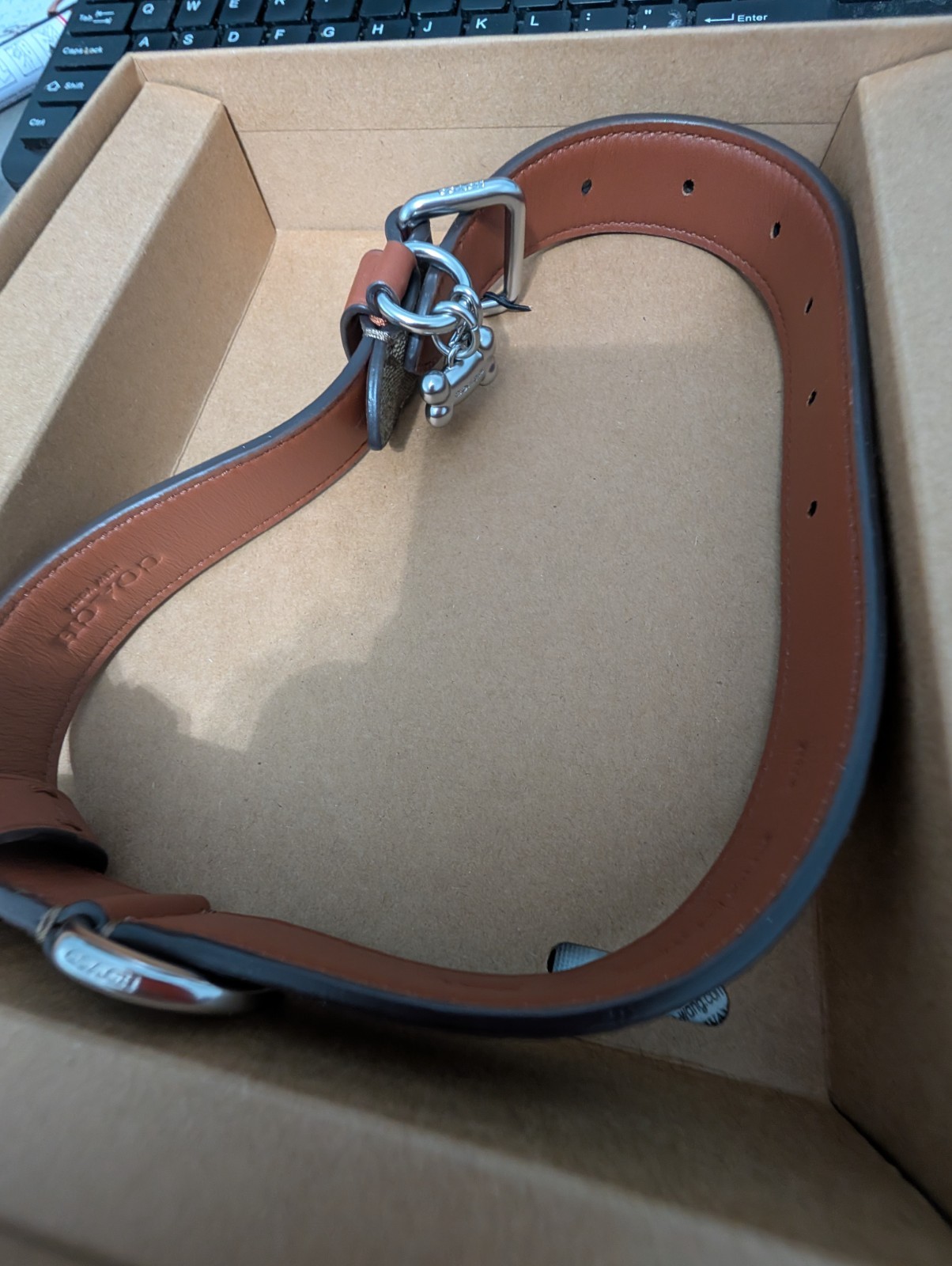 Coach LARGE Dog Collar Khaki Saddle Signature PVC New in Box Coach LARGE Dog Collar Khaki Saddle Signature PVC New in Box