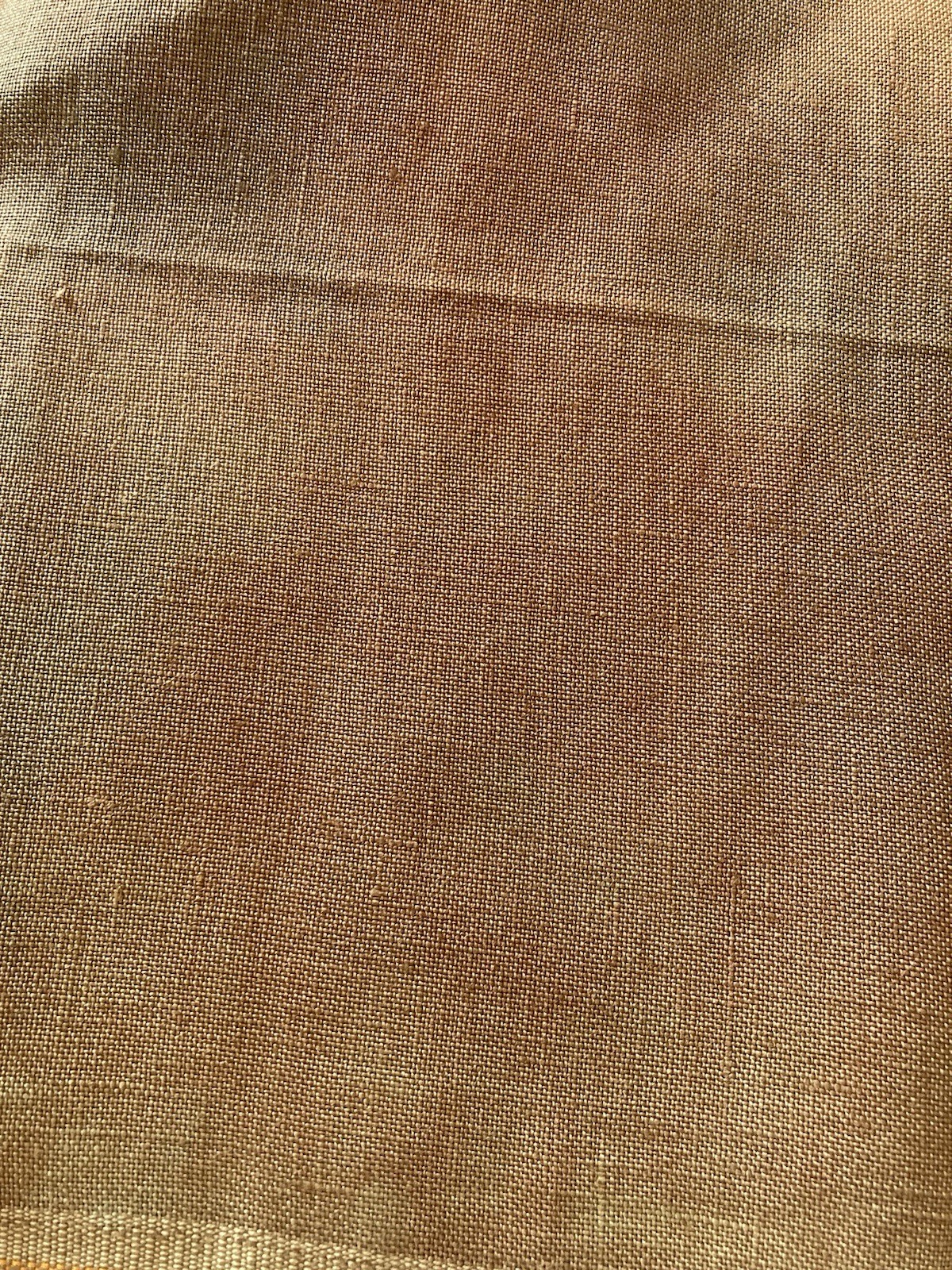 Crossed Wing Collection Hand-Painted Specialty Fabrics Autumn Oak 36ct 18” x 27” Crossed Wing Collection Hand-Painted Specialty Fabrics Autumn Oak 36ct 18” x 27”