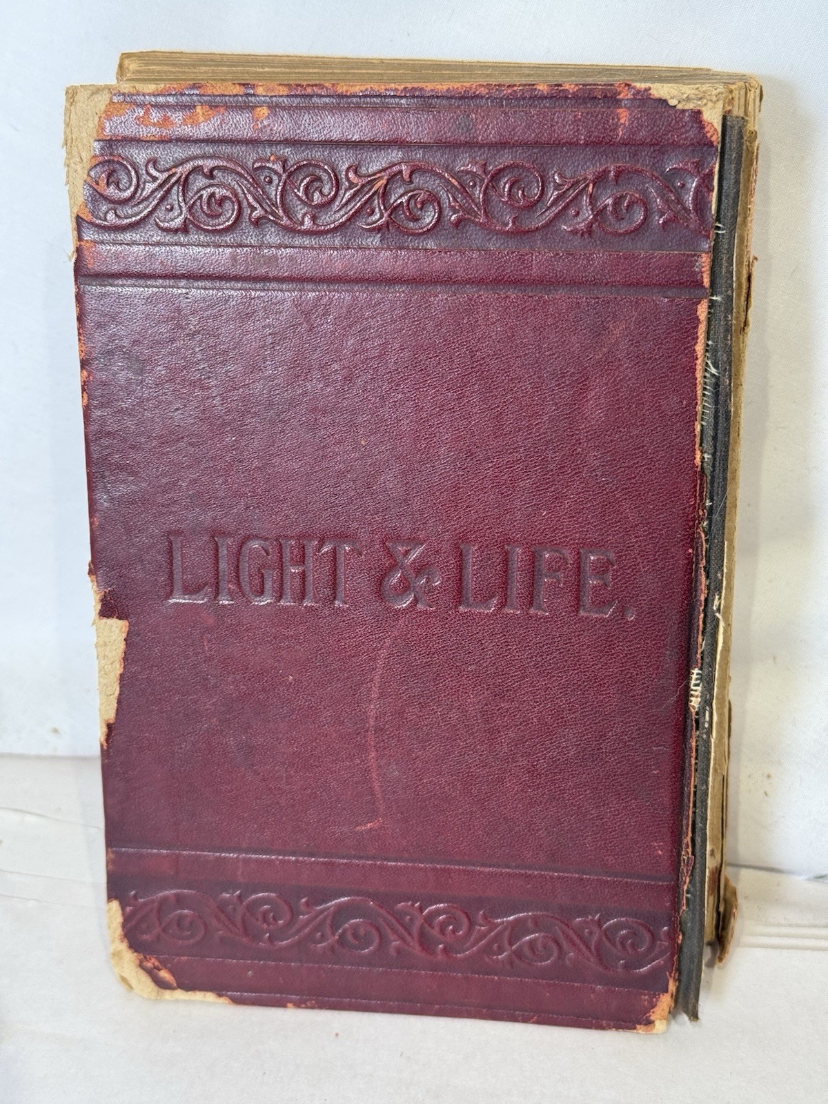 1895 Light on Dark Corners Sexual Science Marriage Antique Book 9th Ed