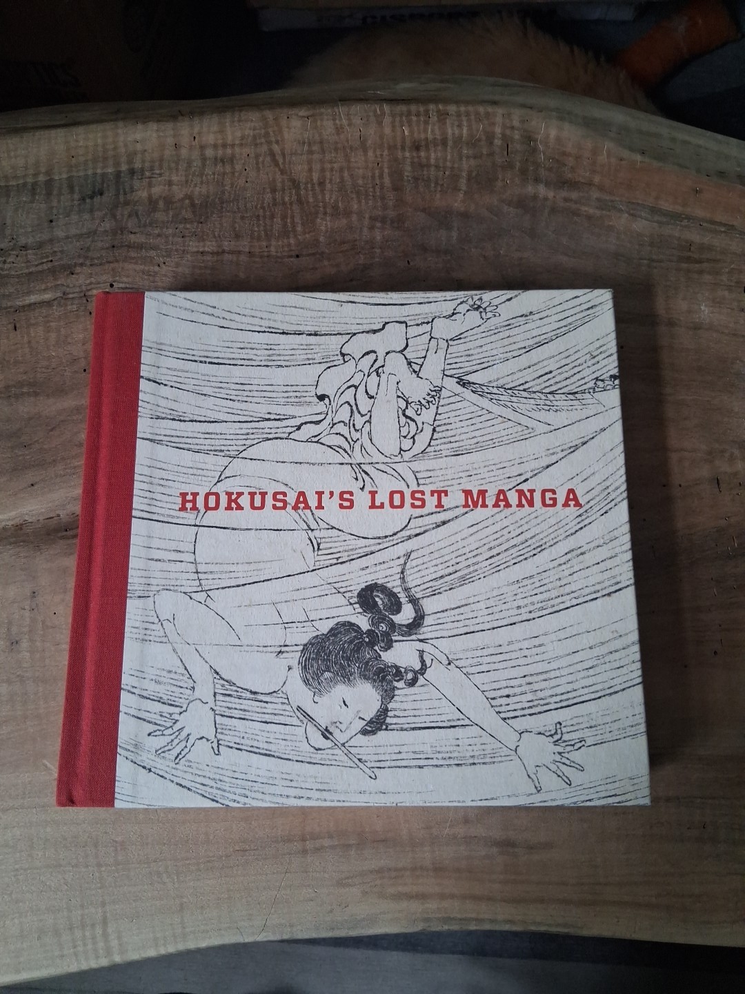Hokusai\'s Lost Manga MFA Boston 2016 Hardback by Sarah Thompson Japanese RARE Hokusai\'s Lost Manga MFA Boston 2016 Hardback by Sarah Thompson Japanese RARE