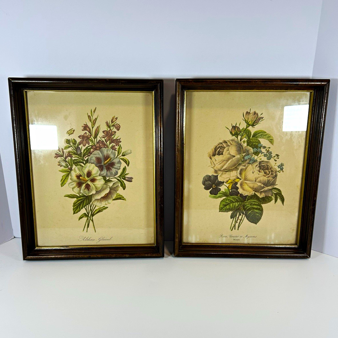 Vintage Pierre-Joseph Redouté Botanical Framed Prints - Pair of 2 (11