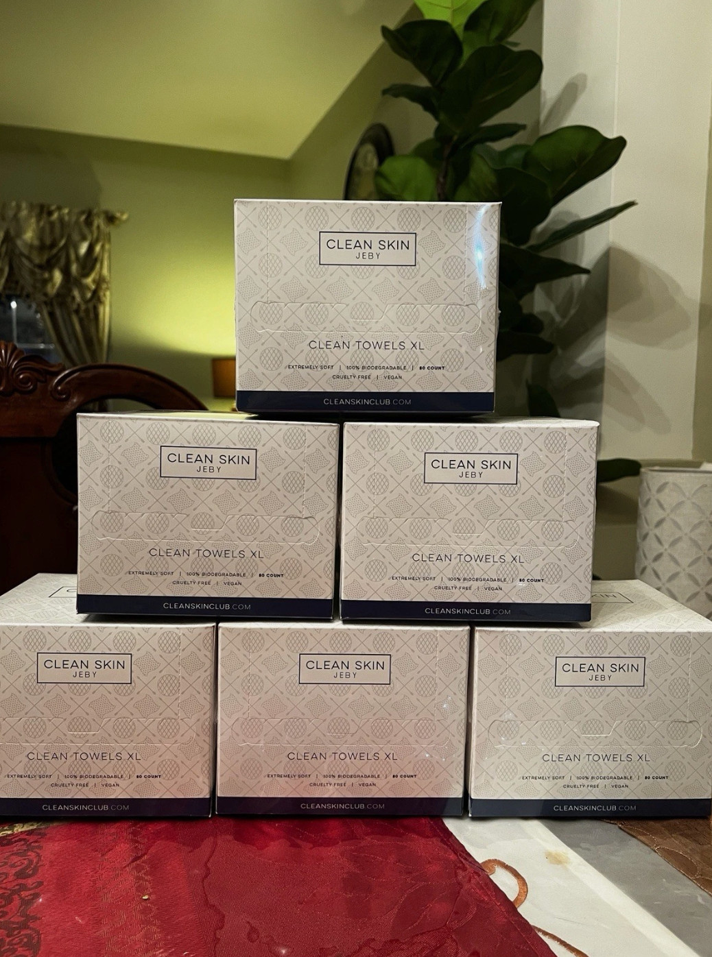 [5 BOXES SEALED] Clean Skin Club Clean Towel XL Disposable Face 250 CT