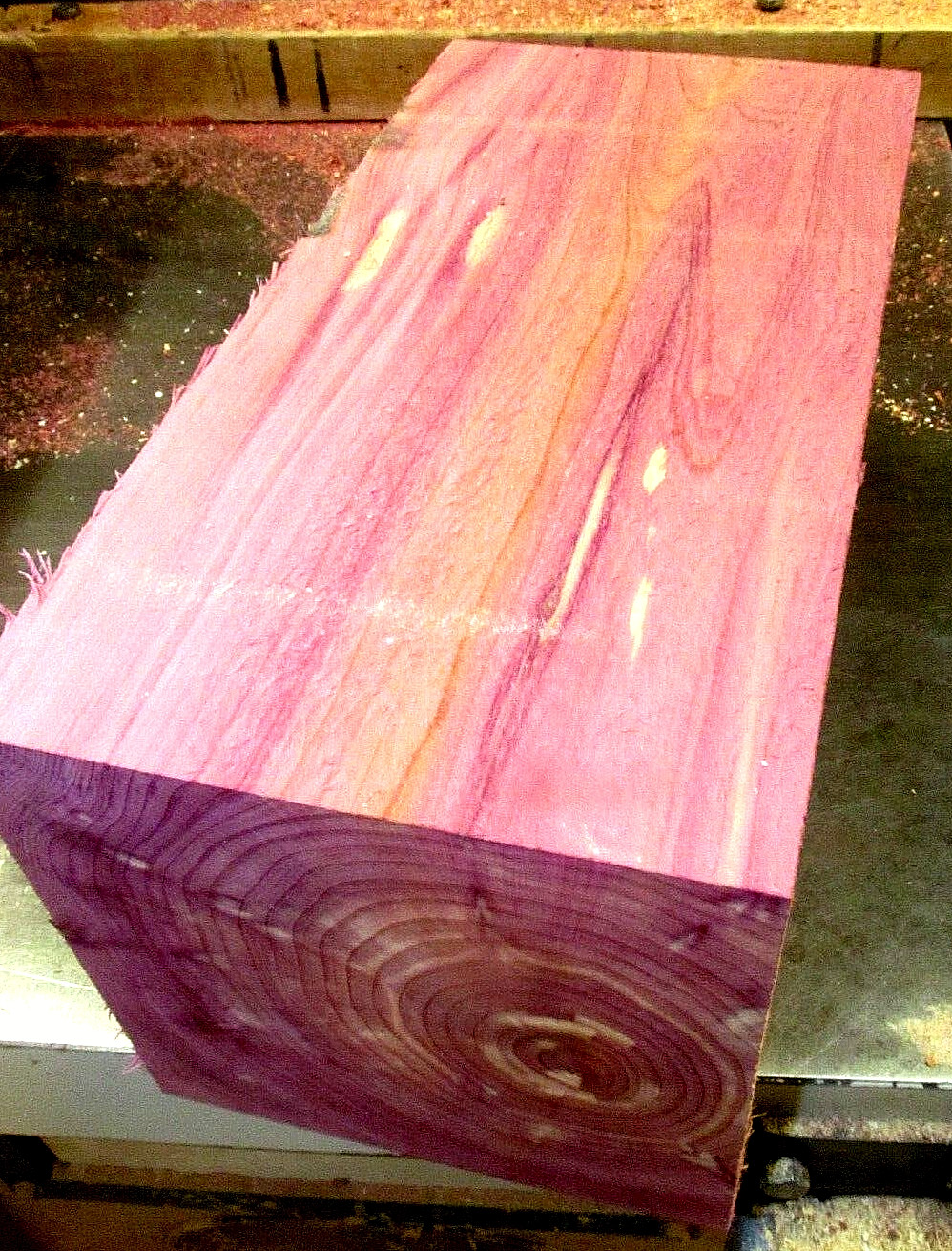 LARGE EASTERN RED CEDAR WOOD BLANKS CARVING BLOCKS 6\