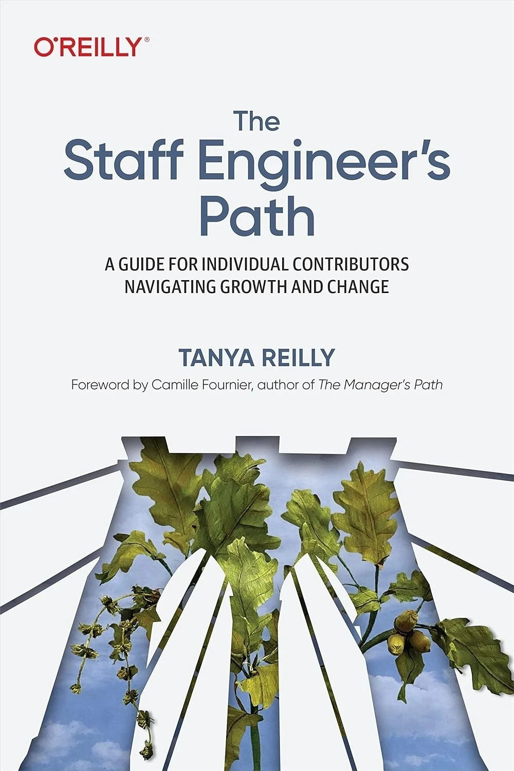 The Staff Engineer\'s Path: A Guide for Individual Contributors Navigating Growth