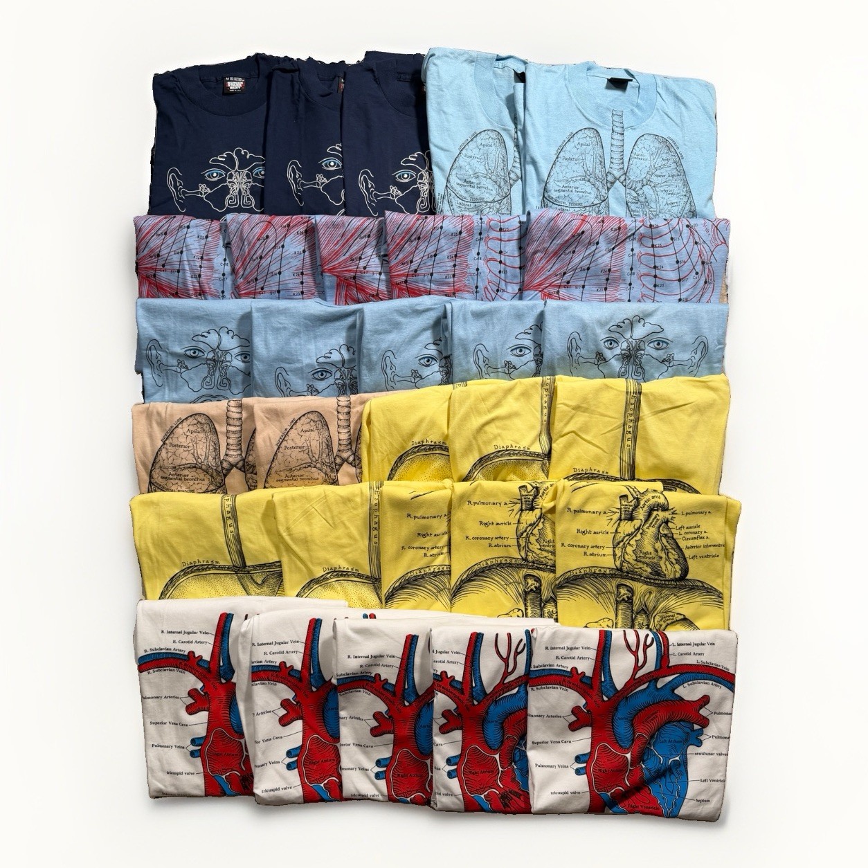 Vintage Leslie Arwin Anatomy Shirt 30 Tee Lot XL Medium Small Organs Medical Lot