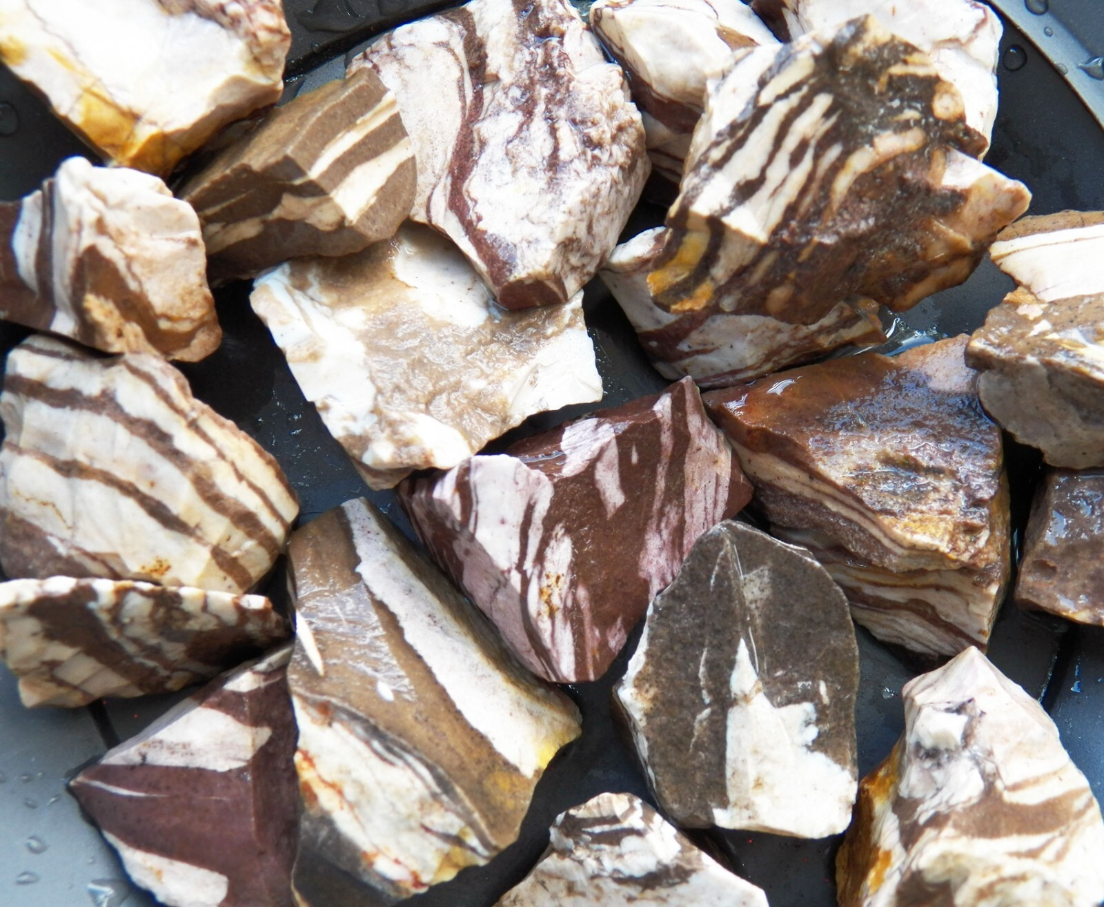 1/2 lb Zebra Jasper Rough Tumbling Rock Stones from Brazil 1/2 lb Zebra Jasper Rough Tumbling Rock Stones from Brazil