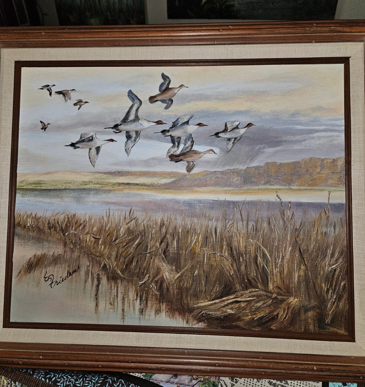 Orig Vtg 1982 Art On Canvas Board Framed Pintail Ducks Eileen Frieden 21\