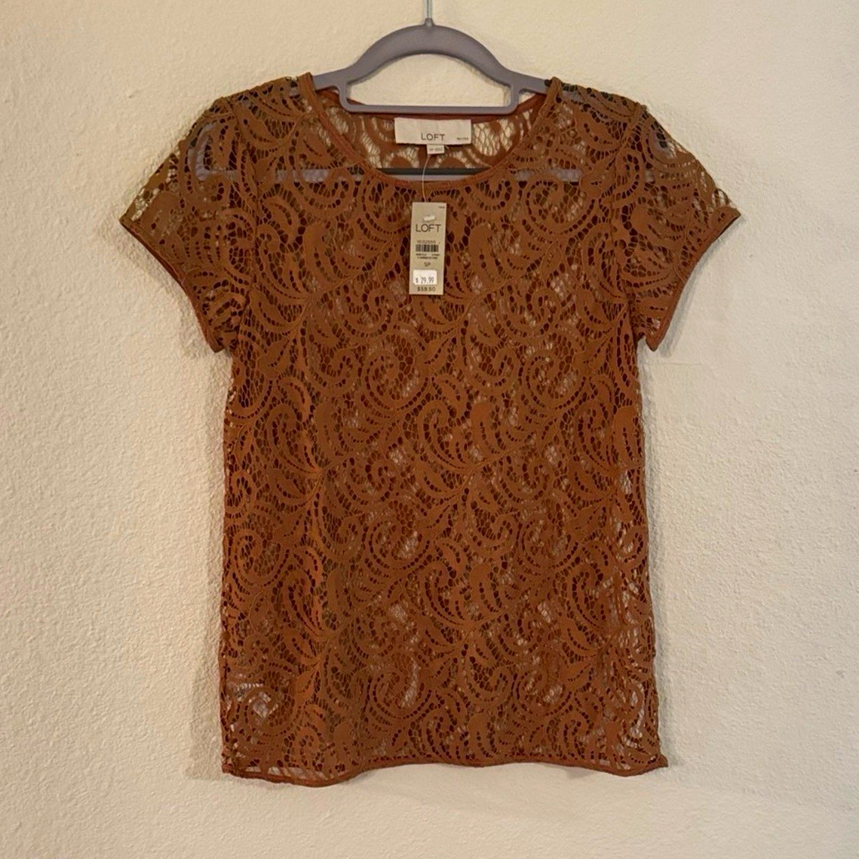 LOFT Brown Floral Lace Sheer Overlay Top Round Neck Short Sleeve Women\'s S