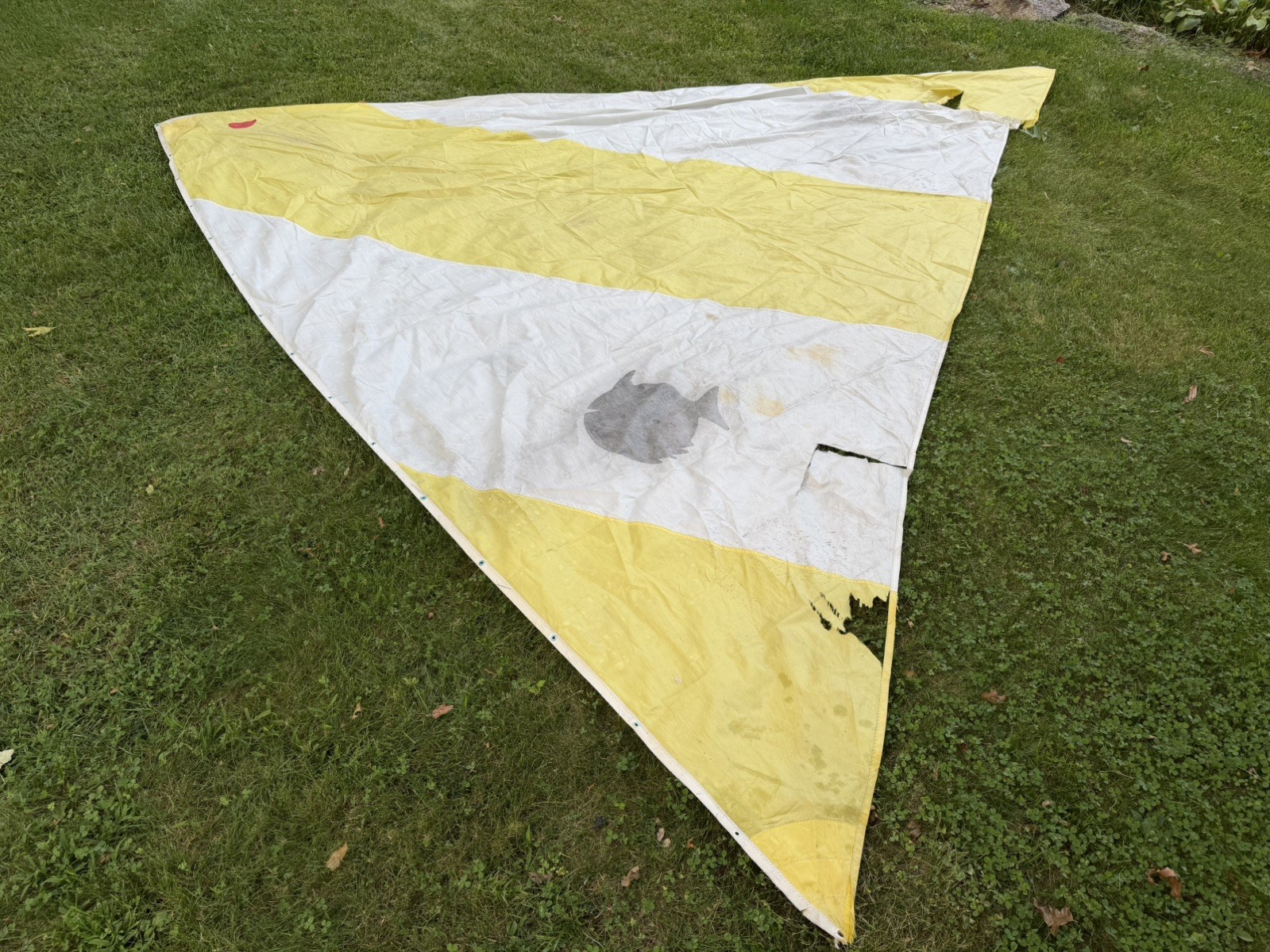 Sunfish Sail - Original Sail - Sailboat Sunfish Sail - Original Sail - Sailboat