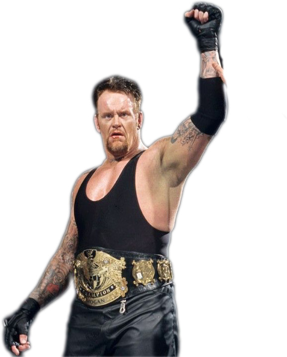 WWE RARE UNDISPUTED TITLE VERSION 1