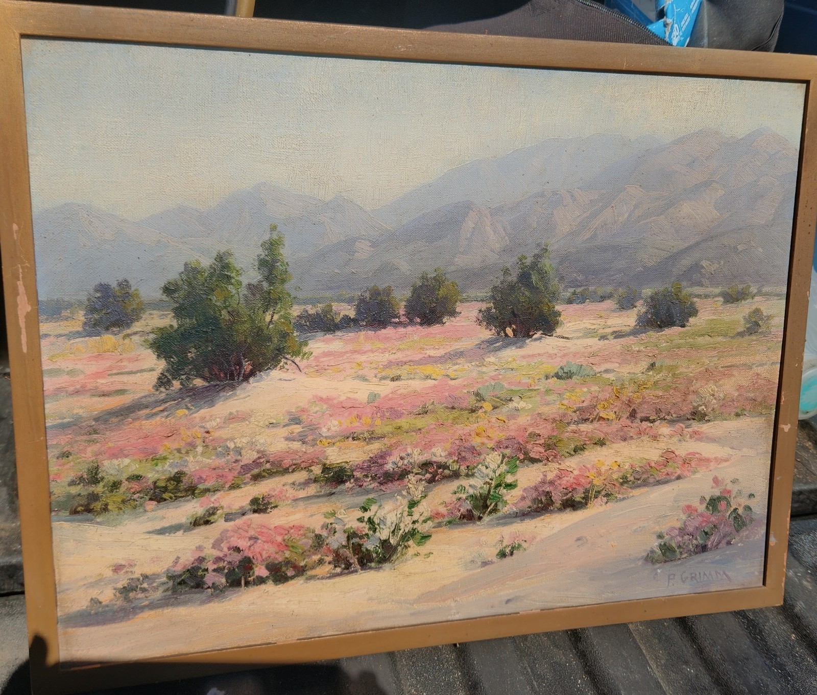 Vtg Palm Springs Listed Artist Paul Grimm Desert Wild Flowers Oil Painting Vtg Palm Springs Listed Artist Paul Grimm Desert Wild Flowers Oil Painting