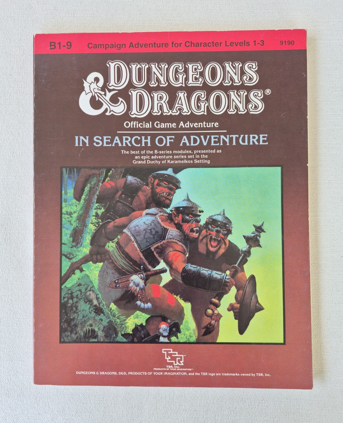 Dungeons & Dragons B1-9 In Search of Adventure 1987 TSR 9190 D&D