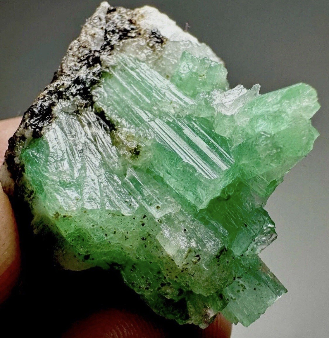 Renowned Raw Bright Green Colombian Emerald Crystal Cluster Matrix Specimen