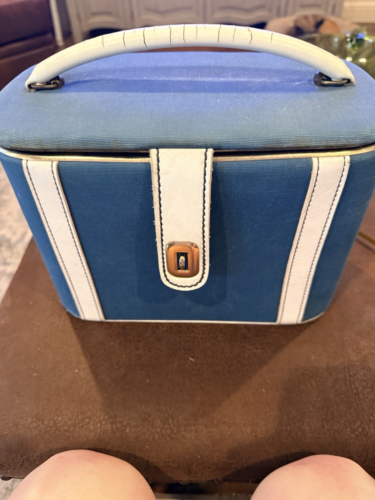 vintage 1960s canvas and leather train vanity case