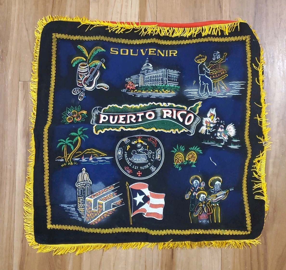 Vintage Puerto Rico Fringed Pillow Case Cover Painting Velvet Souvenir
