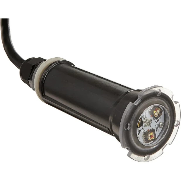 PENTAIR GloBrite White LED Light 12V 15W 100\' Cord - 602104