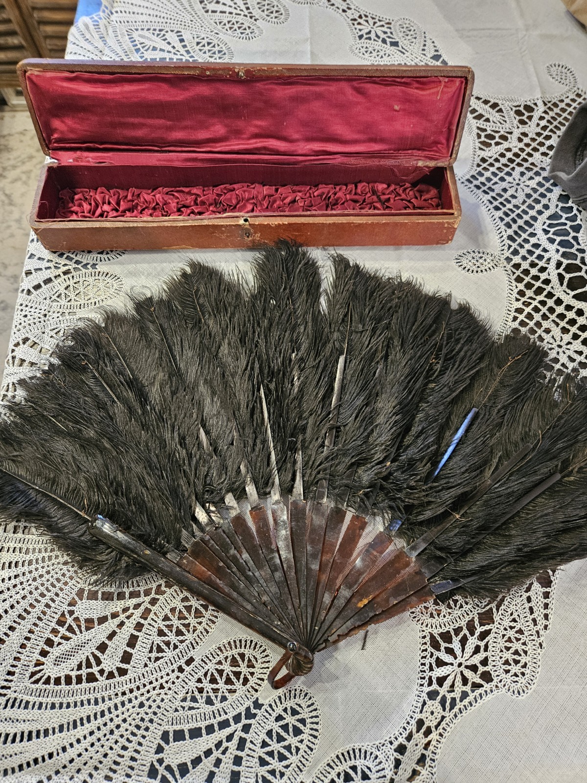 Vintage Antique Ostrich Feather Fan With Case